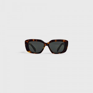 Celine Triomphe 04 In Acetate Sonnenbrille Braun | CL-592392