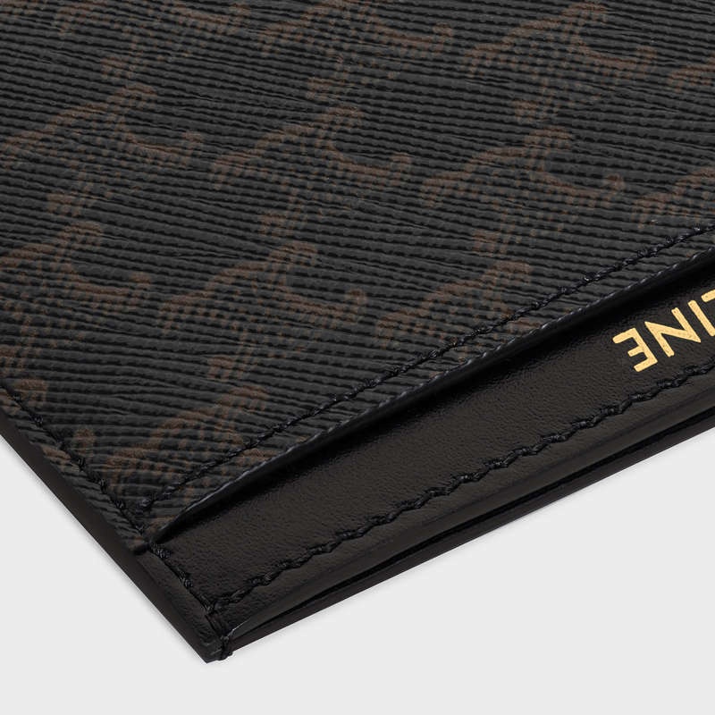 Celine In Triomphe Canvas And Calfskin Kartenhülle Schwarz | CL-591800