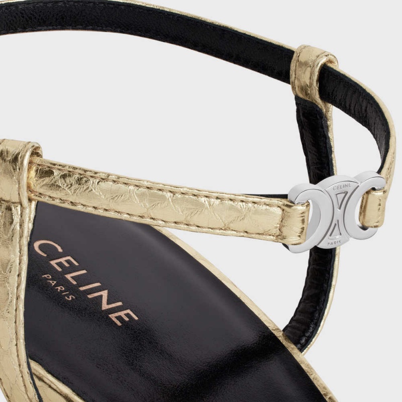 Celine Kitten With Riemen Triomphe In Laminated Ayers Pumps Silber | CL-592564