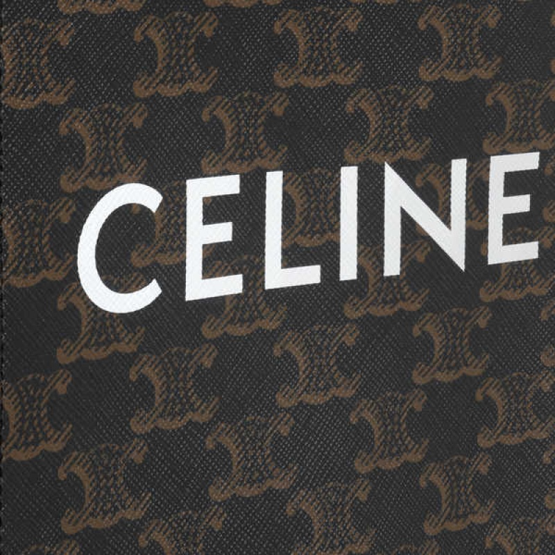 Celine Mini Vertical Cabas In And Calfskin With Print Triomphe Canvas Braun | CL-593134