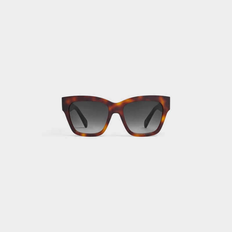 Celine Triomphe 09 In Acetate Sonnenbrille Braun | CL-592389