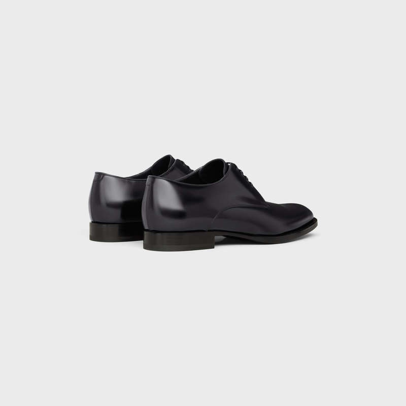 Celine Tuxedo Derby In Polished Bullskin Halbschuhe Schwarz | CL-591883